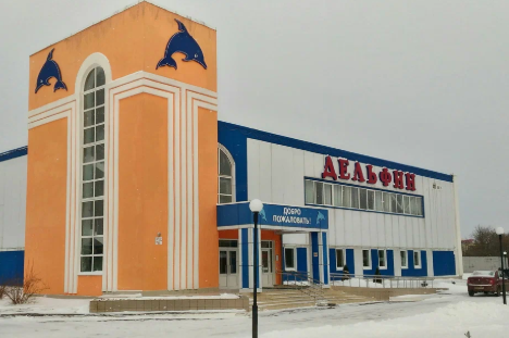 Дельфин