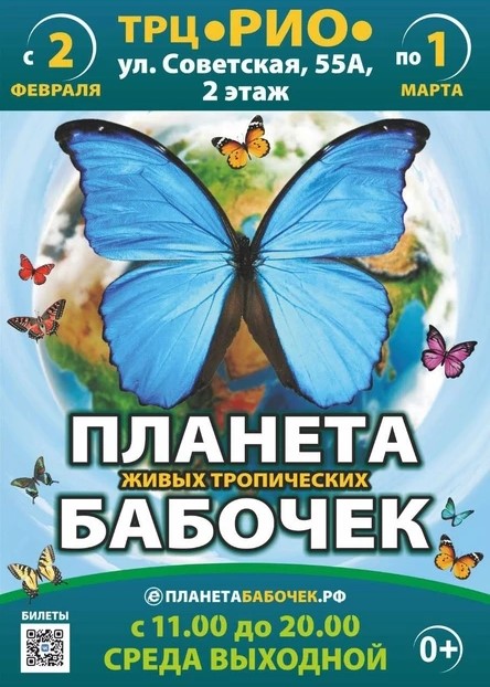 Выставка «Планета живых бабочек»