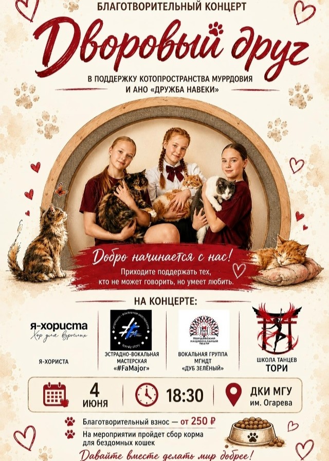 Благотворительный концерт «Дворовый друг»