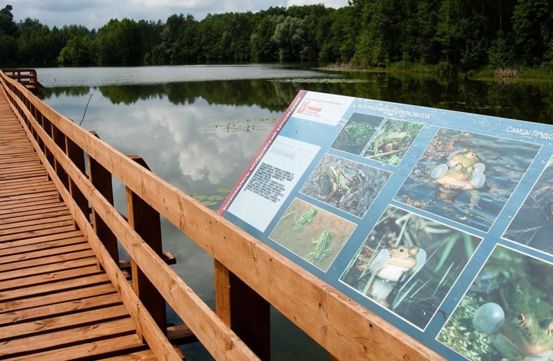 2,6 миллиона россиян выбрали отдых на заповедных территориях страны в начале 2026 года