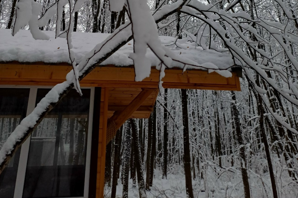 лев стори.jpg